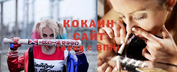 ПСИЛОЦИБИНОВЫЕ ГРИБЫ Белоозёрский