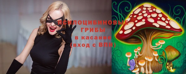 ПСИЛОЦИБИНОВЫЕ ГРИБЫ Белоозёрский