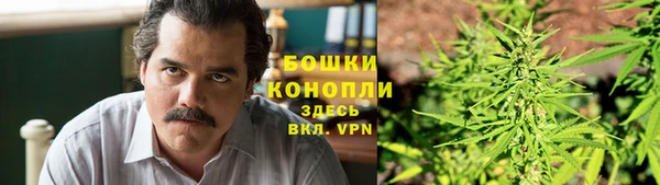ПСИЛОЦИБИНОВЫЕ ГРИБЫ Белоозёрский