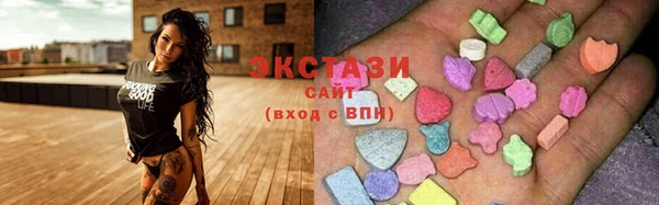шишки Белокуриха