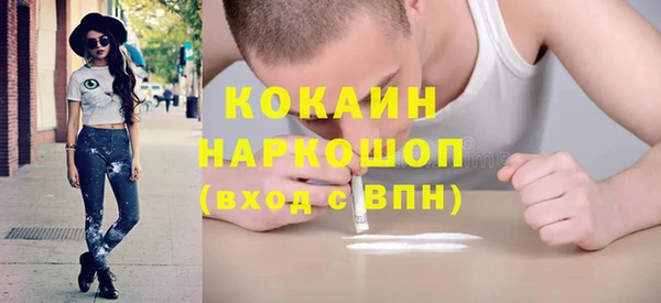шишки Белокуриха