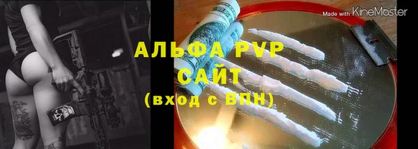 шишки Белокуриха