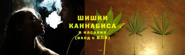ПСИЛОЦИБИНОВЫЕ ГРИБЫ Белоозёрский