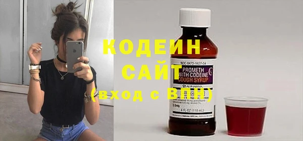 шишки Белокуриха