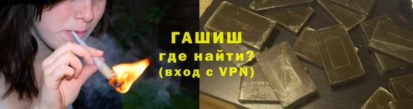 шишки Белокуриха