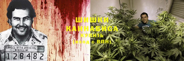 ПСИЛОЦИБИНОВЫЕ ГРИБЫ Белоозёрский