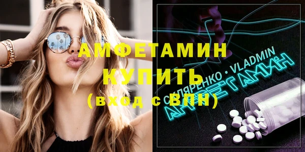 шишки Белокуриха