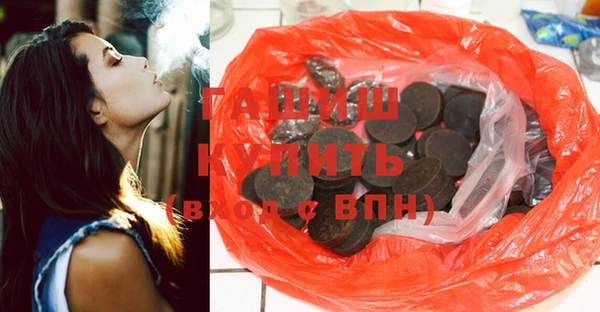 шишки Белокуриха