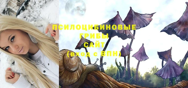 шишки Белокуриха