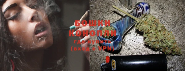 ПСИЛОЦИБИНОВЫЕ ГРИБЫ Белоозёрский