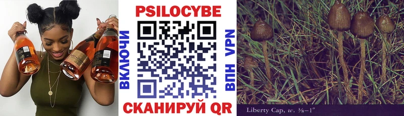 купить  цена  Вытегра  Галлюциногенные грибы Psilocybe 