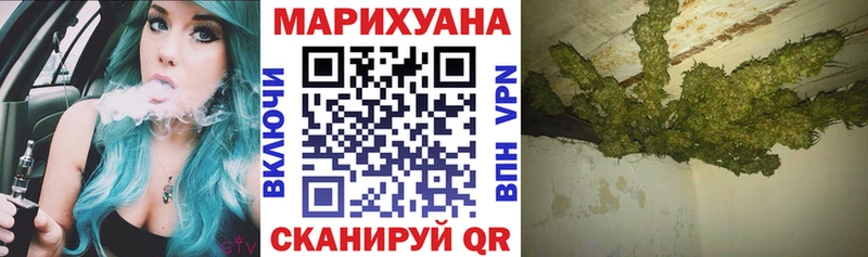 Бошки Шишки AK-47  продажа наркотиков  Вытегра 